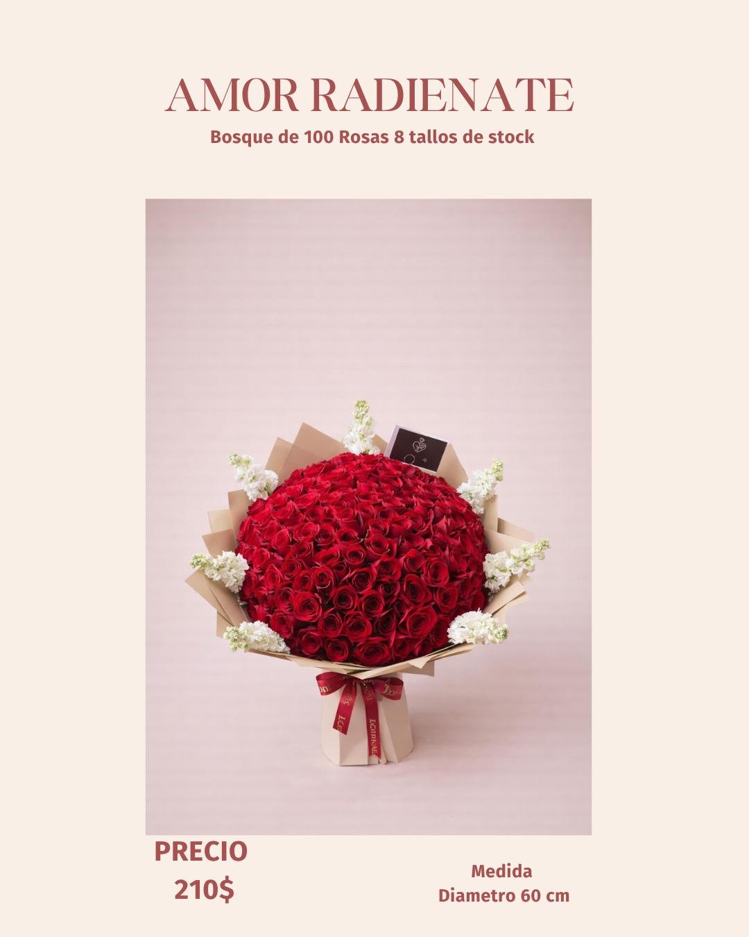 Amor Radiante